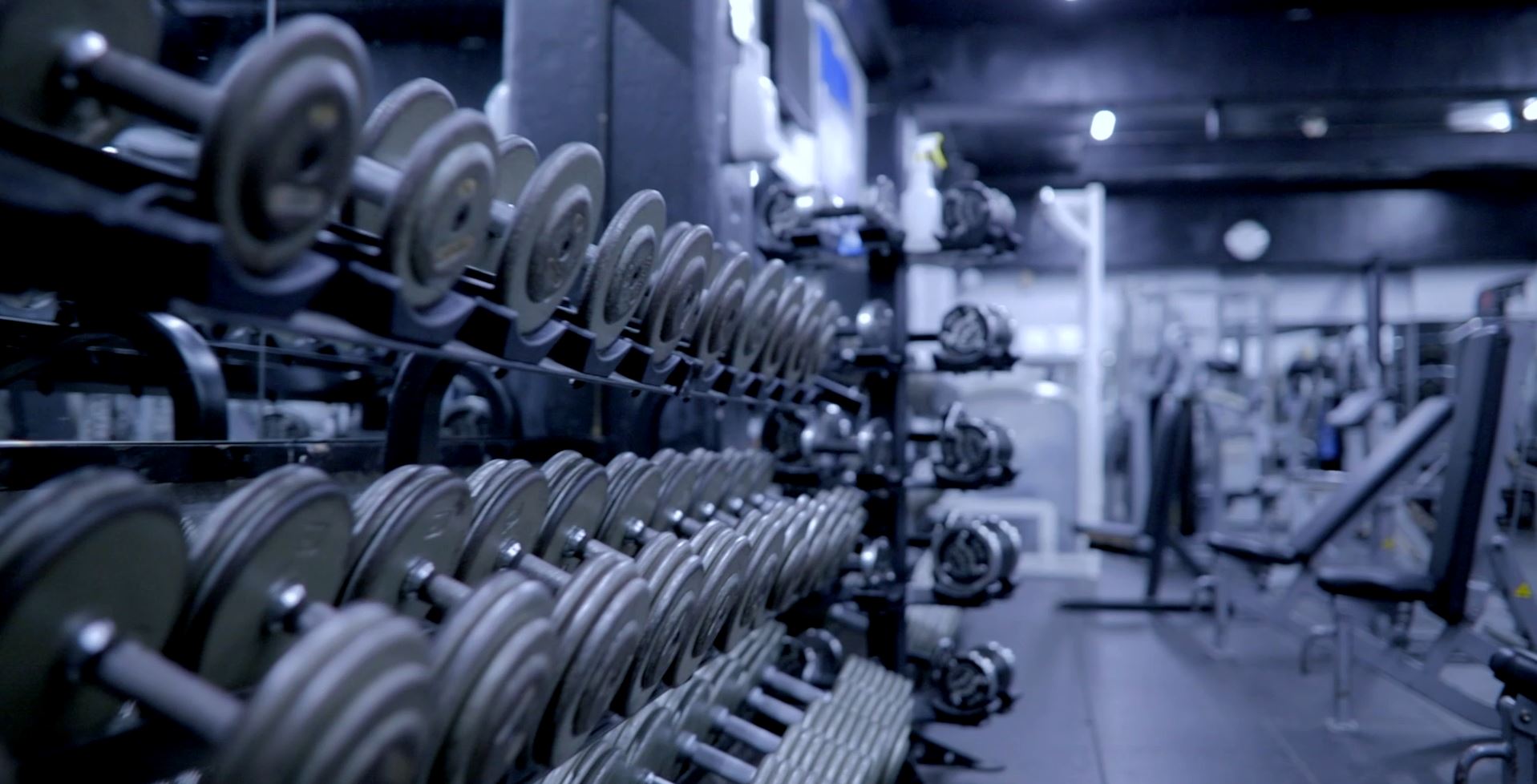 ZoneGym DISCOVER YOUR PHYSICAL POTENTIAL WITH ZONE GYM